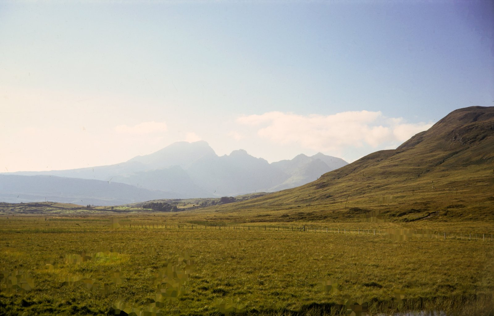 Same film scan after DustMagic processing with dust removed