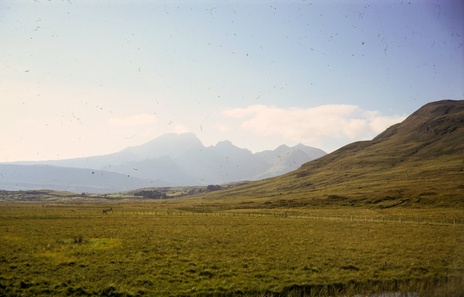 Film scan with dust spots and fibres visible